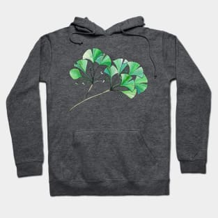 Gingko Branch Watercolor Illustration Hoodie